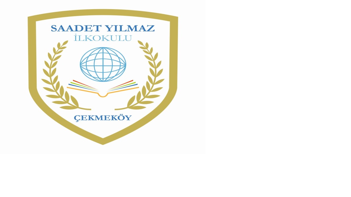 Yeni Okul Logomuz